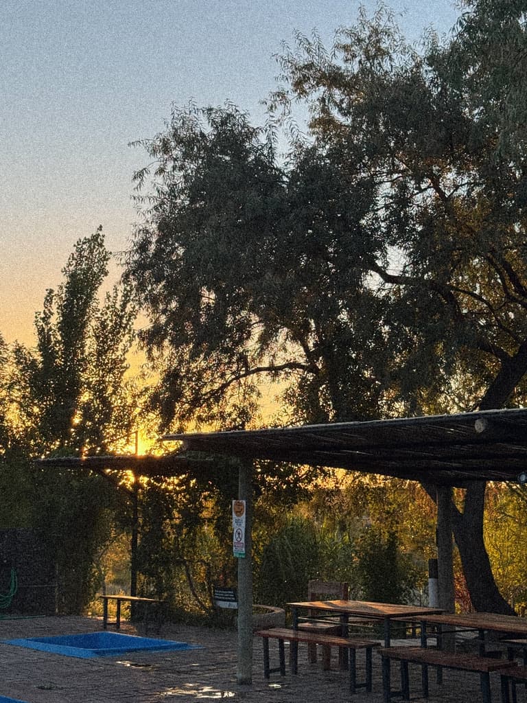 El sol baja detrás de los álamos y el sauce, sobre las mesas de madera bajo el techo de caña.